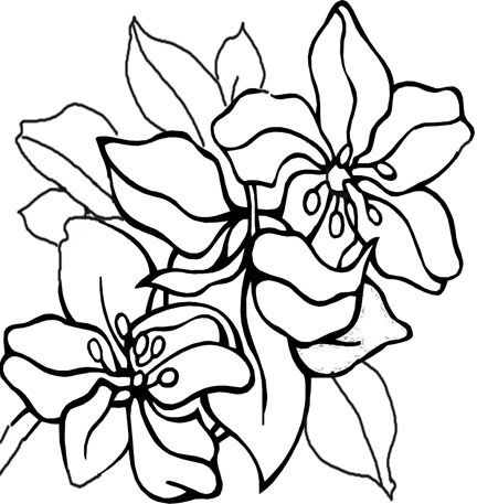 432x457 Coloring Pages Of Cool Designs Free Coloring Pages With A Feel