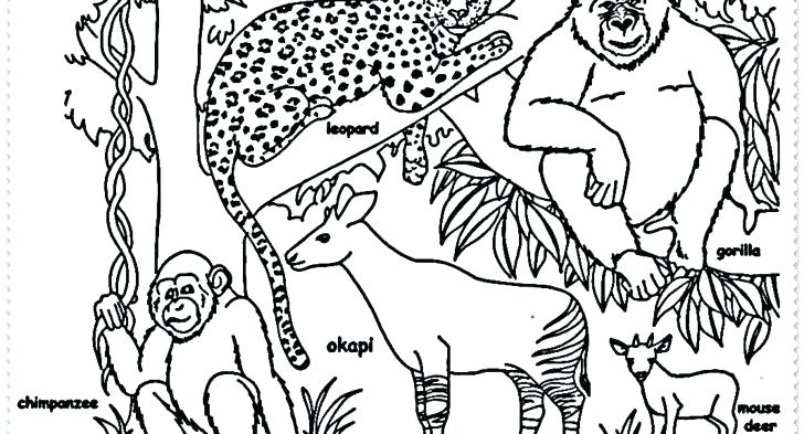728x393 Endangered Species Coloring Pages Coloring Sheets Endangered