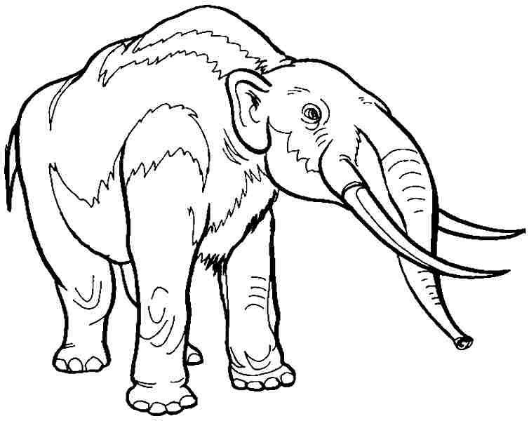 754x600 Extinct Animal Of The Week Coloring The Mastodon