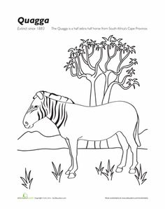 236x298 Extinct Animals Coloring Page Thylacine Extinct Animals