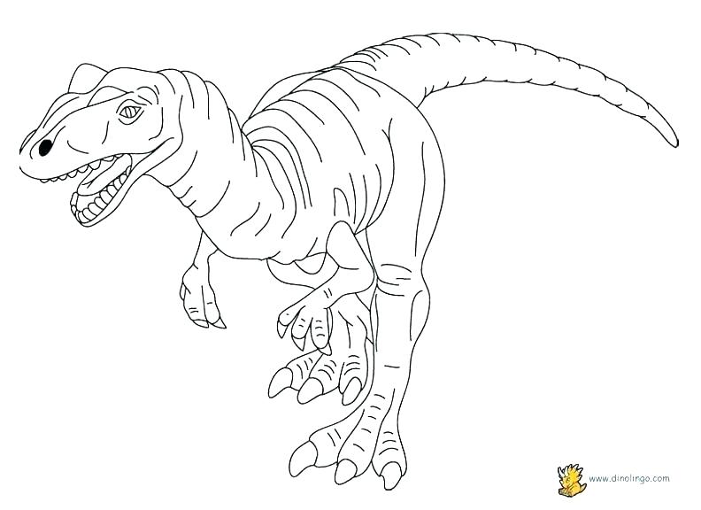 792x576 Extinct Animals Coloring Pages Desert Animal Coloring Pages Desert