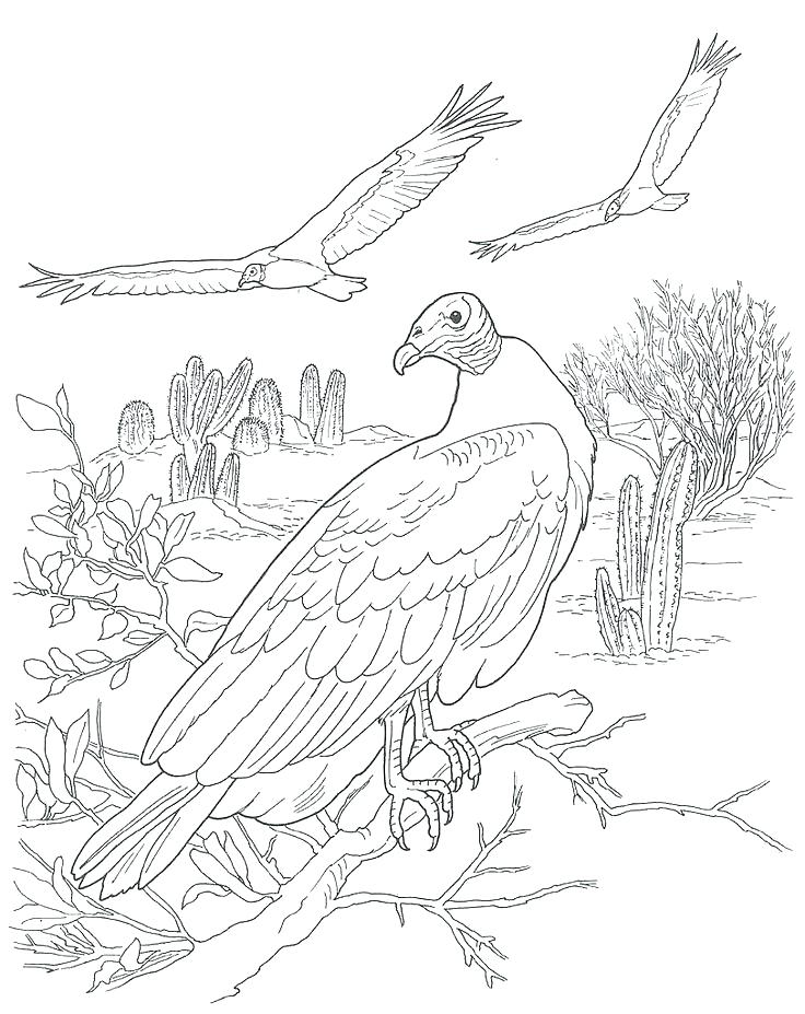 736x927 Desert Animal Coloring Pages Extinct Animals Coloring Pages Desert