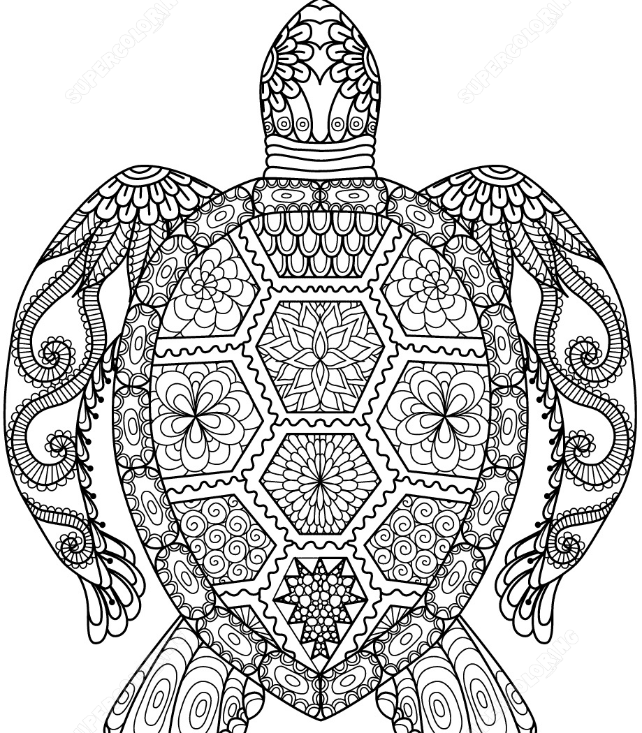 919x1050 Free Zentangle Coloring Pages