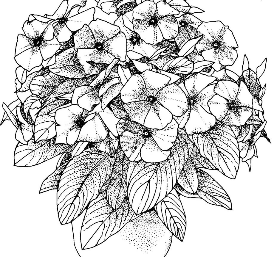 929x864 Adult Coloring Books Printable In Pretty Pict Hard Extreme Adults