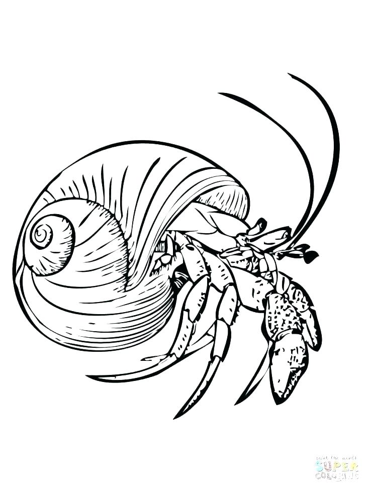 728x971 Eyeball Coloring Pages An Eye Coloring Page Hawkeye Coloring