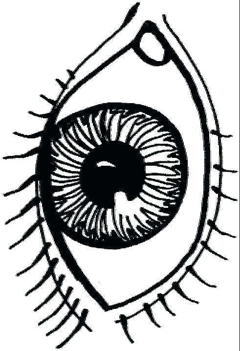 491x718 Eye Coloring Page Cartoon Eyes Eye Spy Colouring Pages