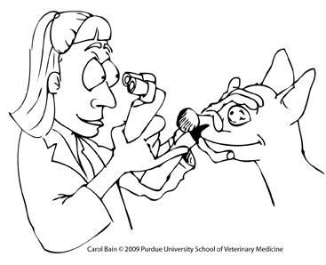 367x298 Eye Doctor Coloring Pages
