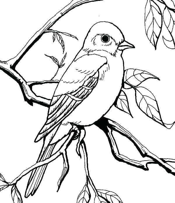 600x699 Eyeball Coloring Page Eyeball Coloring Page Medium Size