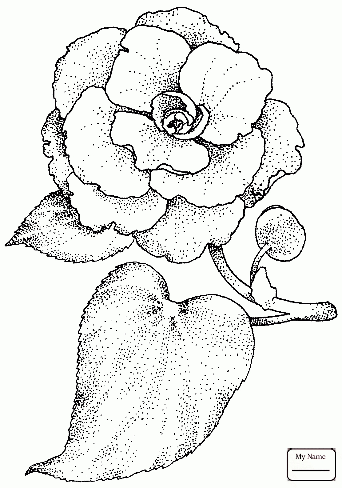 1112x1586 Best Of Camellias Coloring Page Gallery Printable Coloring Sheet