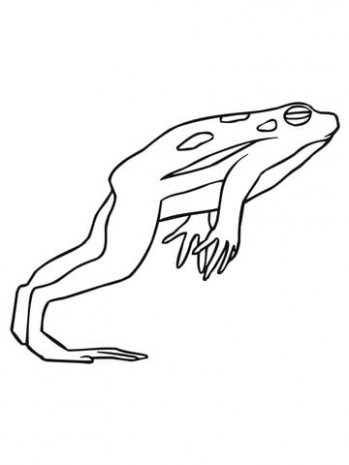 349x465 Ford F 150 Pickup Truck Coloring Pages