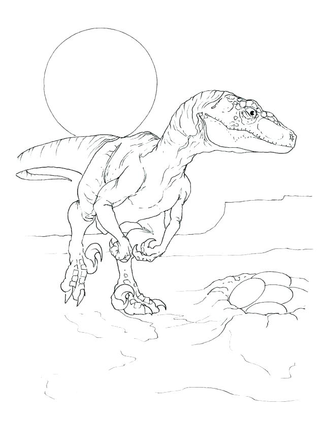 640x880 Raptor Coloring Pages Coloring Page Coloring Page Coloring Pages