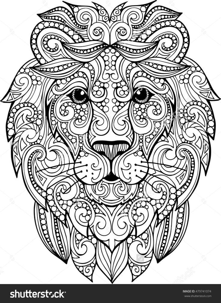 736x1009 Lion Face Coloring Page Lion Head Coloring Pages Lion Head Drawing