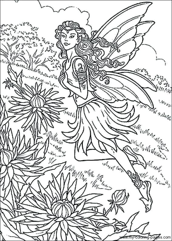 567x794 Neopets Coloring Pages Coloring Pages Fairies Printable Coloring