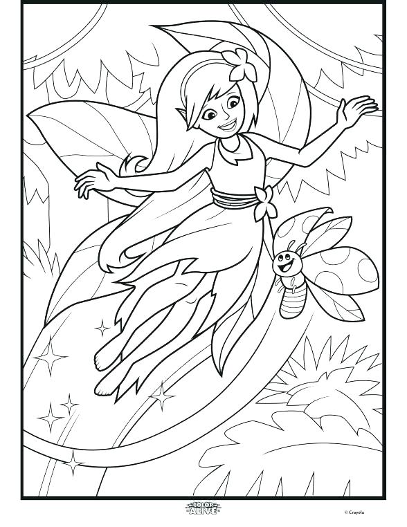 588x762 Country Fair Coloring Pages County Checkers Page State Fai
