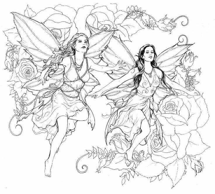 736x663 Fairy Coloring Pages For Adults 5d6600247d1a3d60d6cbb9a4cf11be02