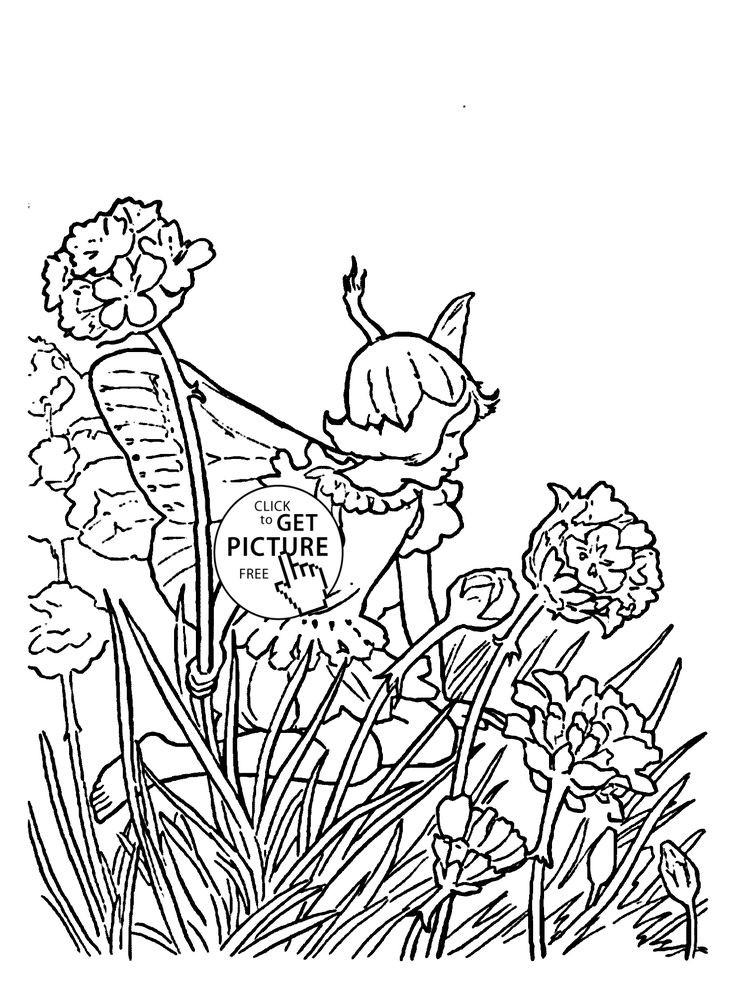 736x986 Fairy Coloring Pages Girls Awesome 57 Best Coloring Pages