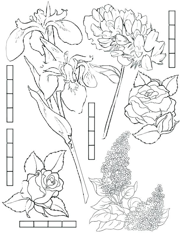 612x792 Fairy Garden Coloring Pages Coloring Book Garden Fairy Rosetta