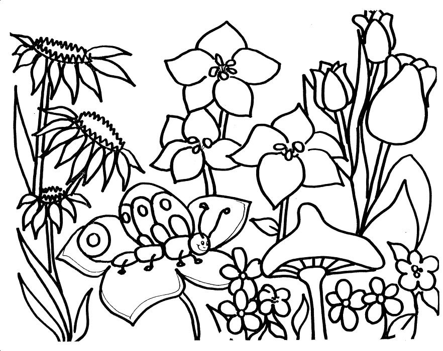 882x700 Coloring Fairy Garden Coloring Pages