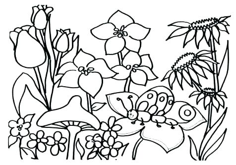476x333 Coloring Pages Garden Fairy Garden Coloring Pages Fresh Flower