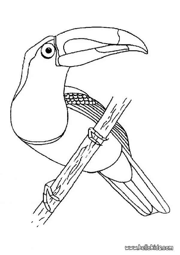 601x850 Falcon Coloring Pages
