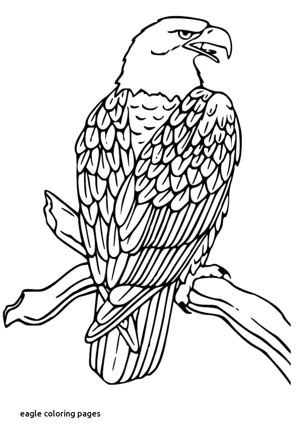 600x879 Peregrine Falcon Coloring Page Coloring Pages Draw A Falcon