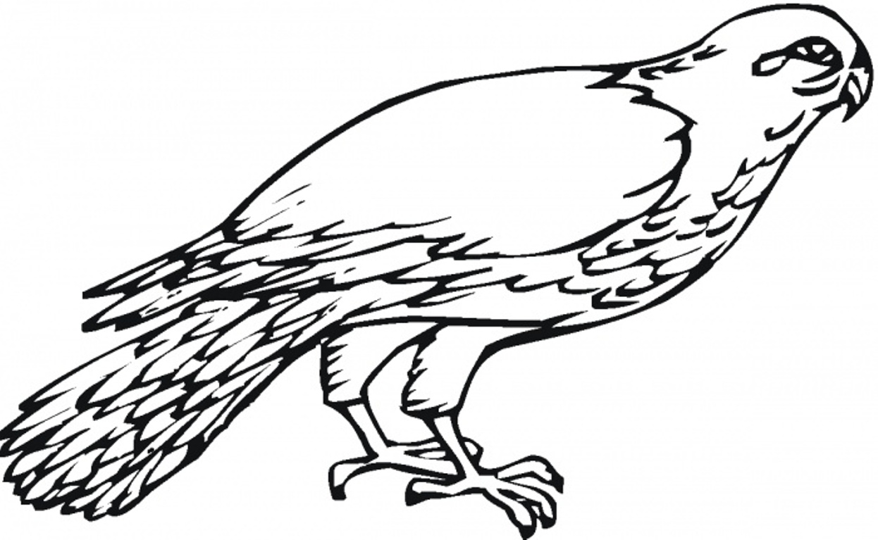 1246x767 Coloring Book Contest