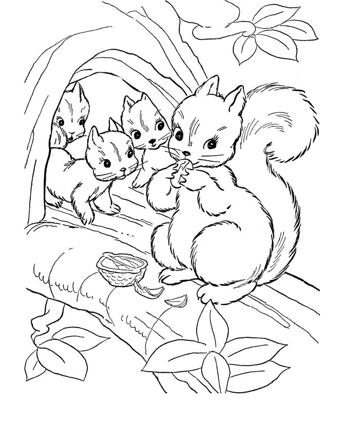 Fall Animals Coloring Pages