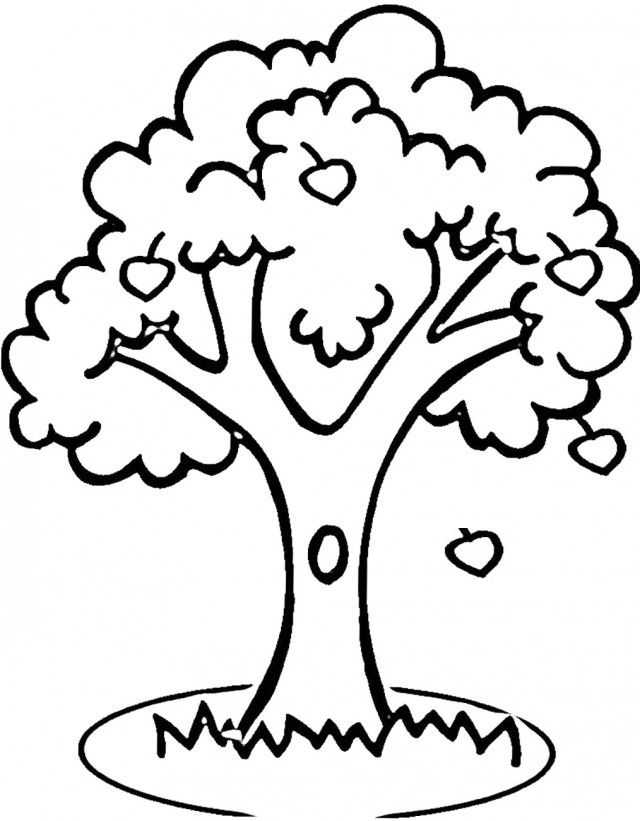 640x821 Apple Coloring Pages To Print