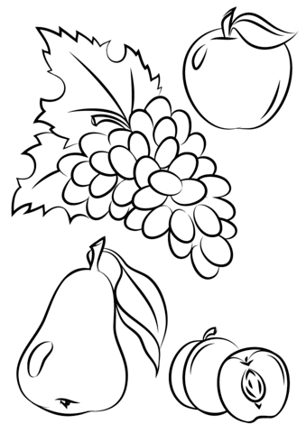 339x480 Fresh Autumn Fruitcoloring Pages Collection Printable Coloring Sheet