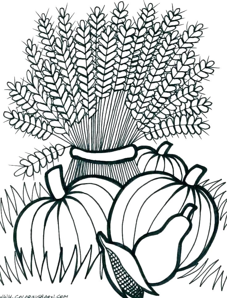 736x964 Fall Coloring Pictures To Print Autumn Coloring Autumn Printable