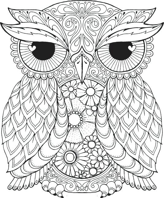 535x645 Elegant Fall Coloring Pages For Adults And A Fall Coloring Page