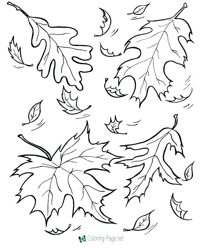670x820 Fall Coloring Page Free Fun Coloring Pages Fall Coloring Pages
