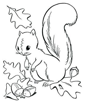 327x400 Free Coloring Pages For Fall Fall Coloring Pages Kids Fall