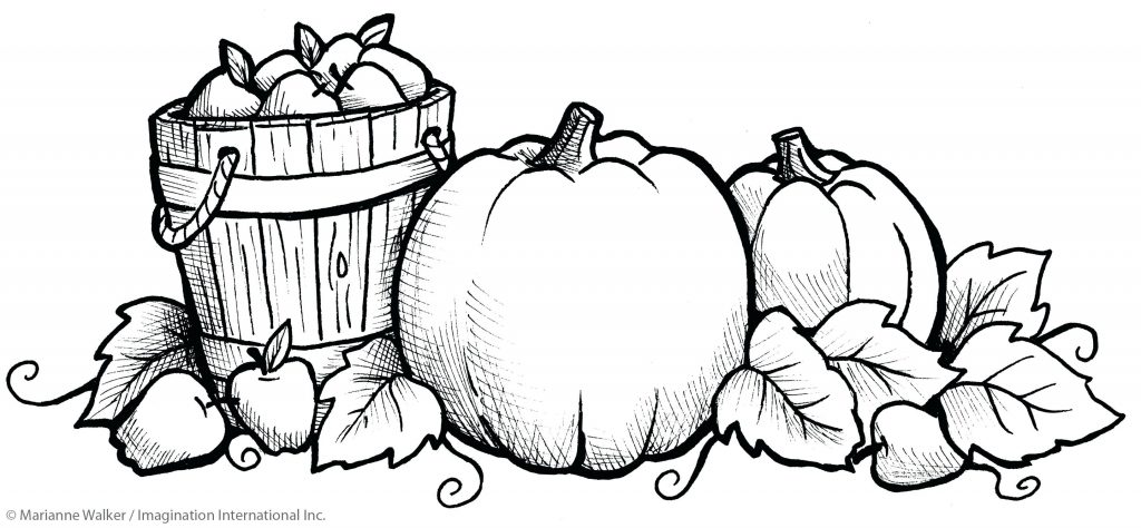 1024x474 Bridalshowerideas.co Page 97 African American Coloring Pages