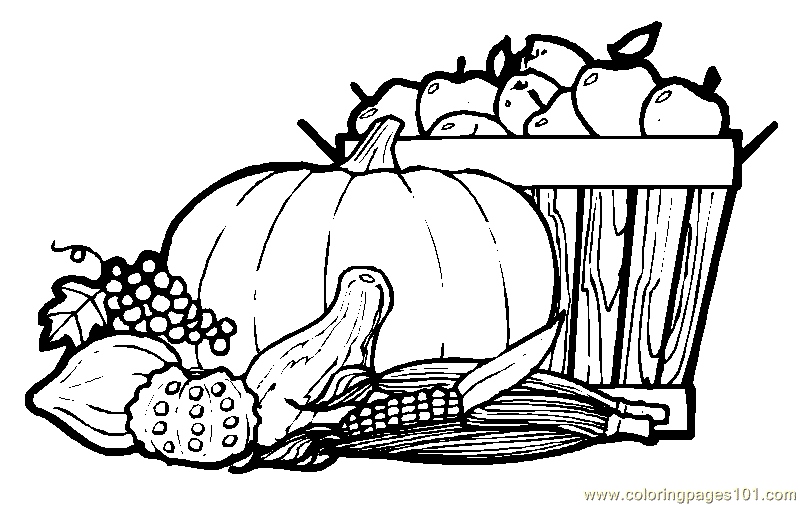 800x505 Fall Coloring Pages For Kids Lovely Printable Elephant Coloring