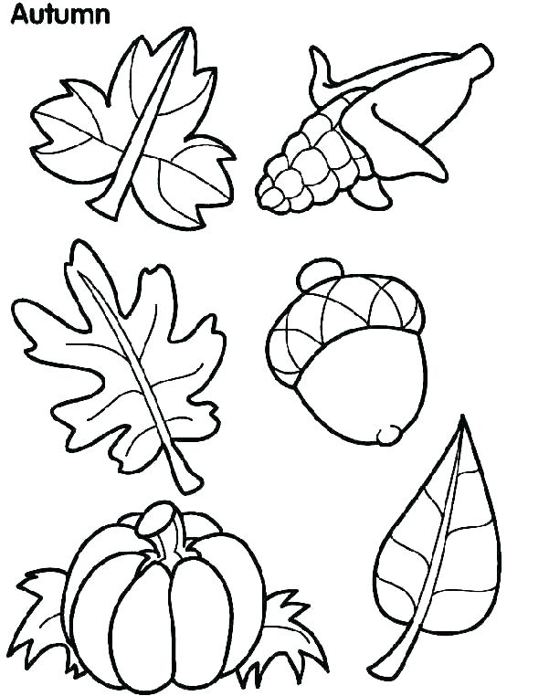 601x762 Free Coloring Pages For Fall Preschool Fall Coloring Pages