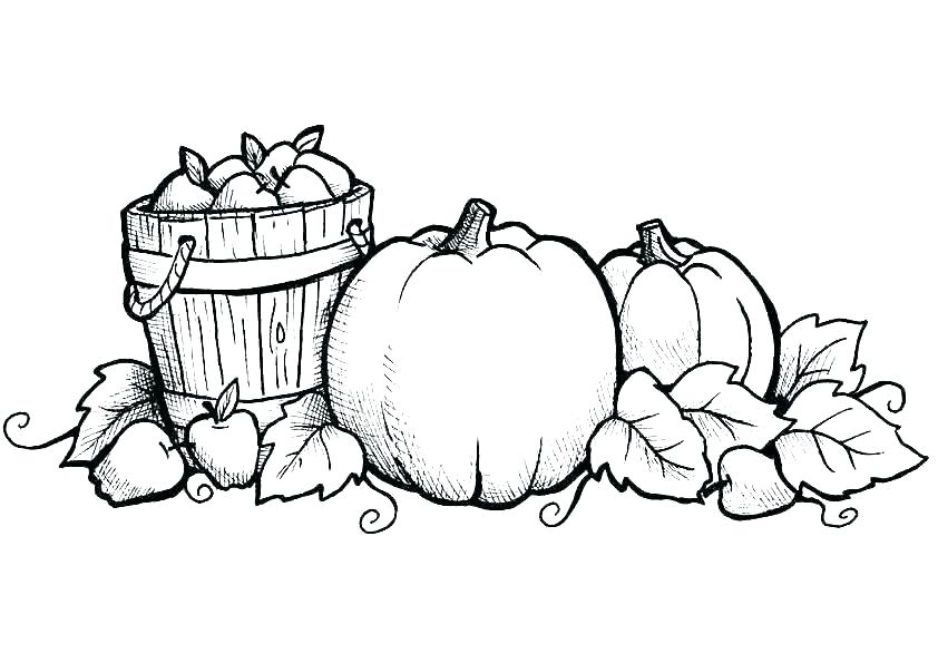 842x595 Thanksgiving Leaves Coloring Pages Fall Autumn Leaves Coloring