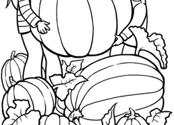 250x180 Kindergarten Fall Worksheets Amp Free Printables