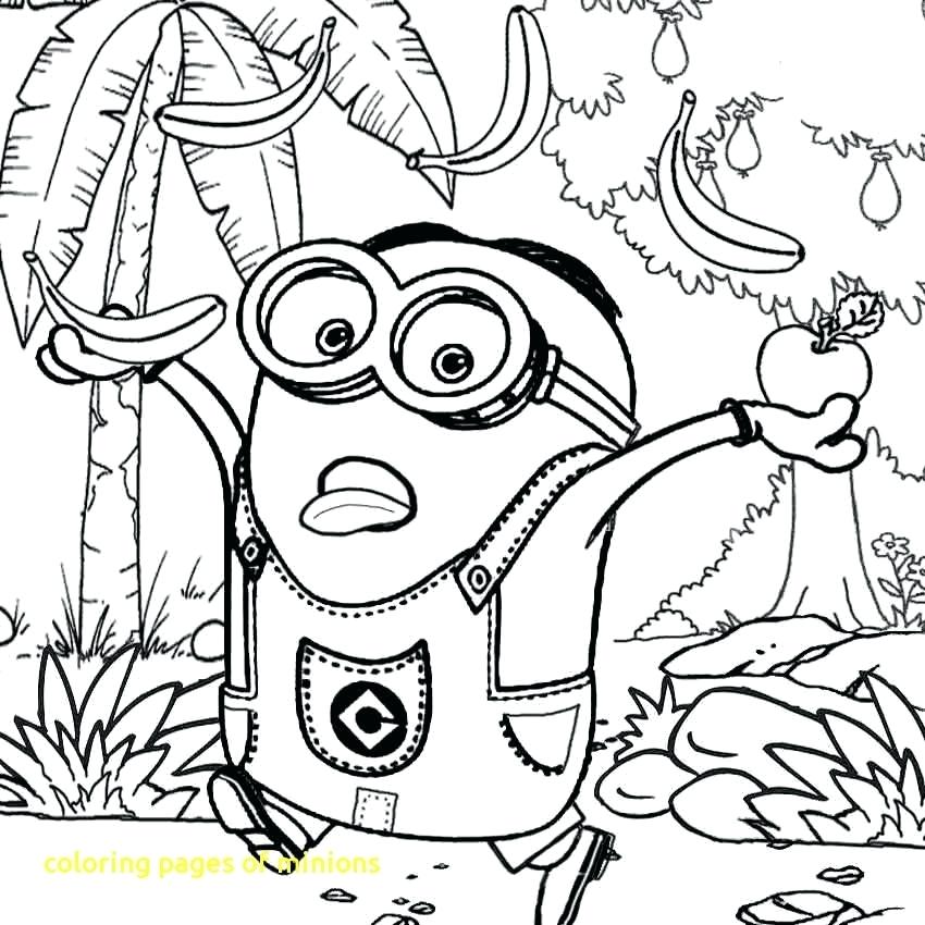 850x850 Fall Color Pages Free Printable Fall Word Search Clip Art Fall