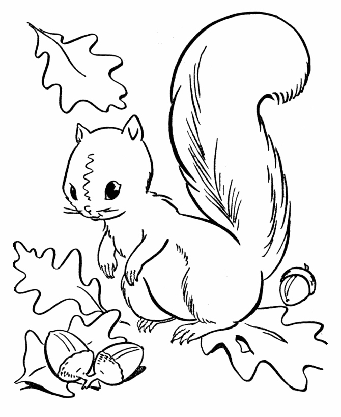670x820 Fall Coloring Pages For Kids Luxury Printable Elephant Coloring