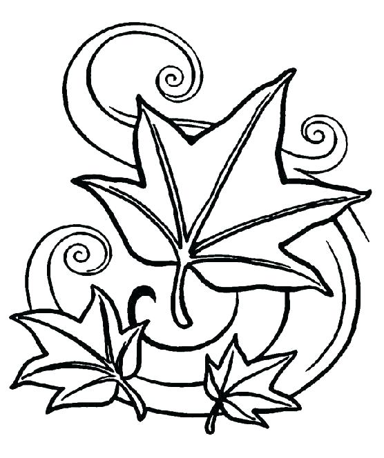 556x664 Autumn Tree Coloring Pages Printable Tree Coloring Pages Bare Tree