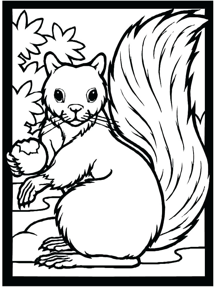 736x980 Autumn Coloring Pages Printable Printable Autumn Coloring Pages