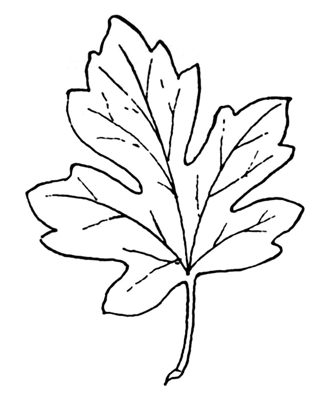 1067x1350 Vintage Fall Clip Art
