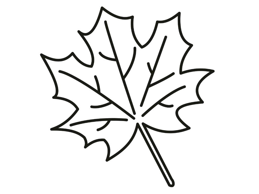 1024x768 Coloring Page ~ Acorn Coloring Page Beautiful Clip Art Black