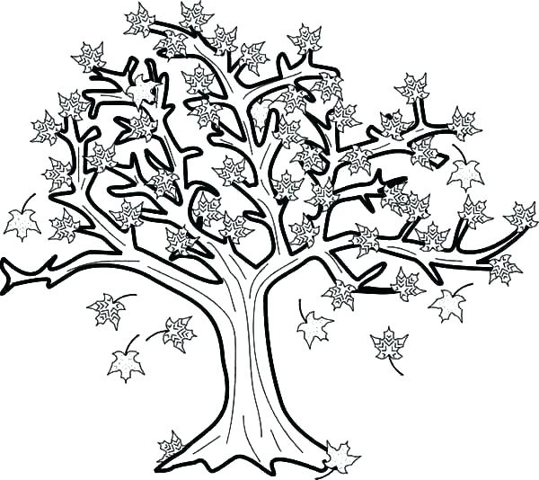 600x534 Leaves Coloring Pages Printable Deepart