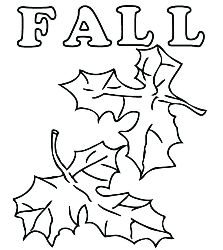 736x822 Leaf Coloring Pages Preschool Leaf Coloring Pages