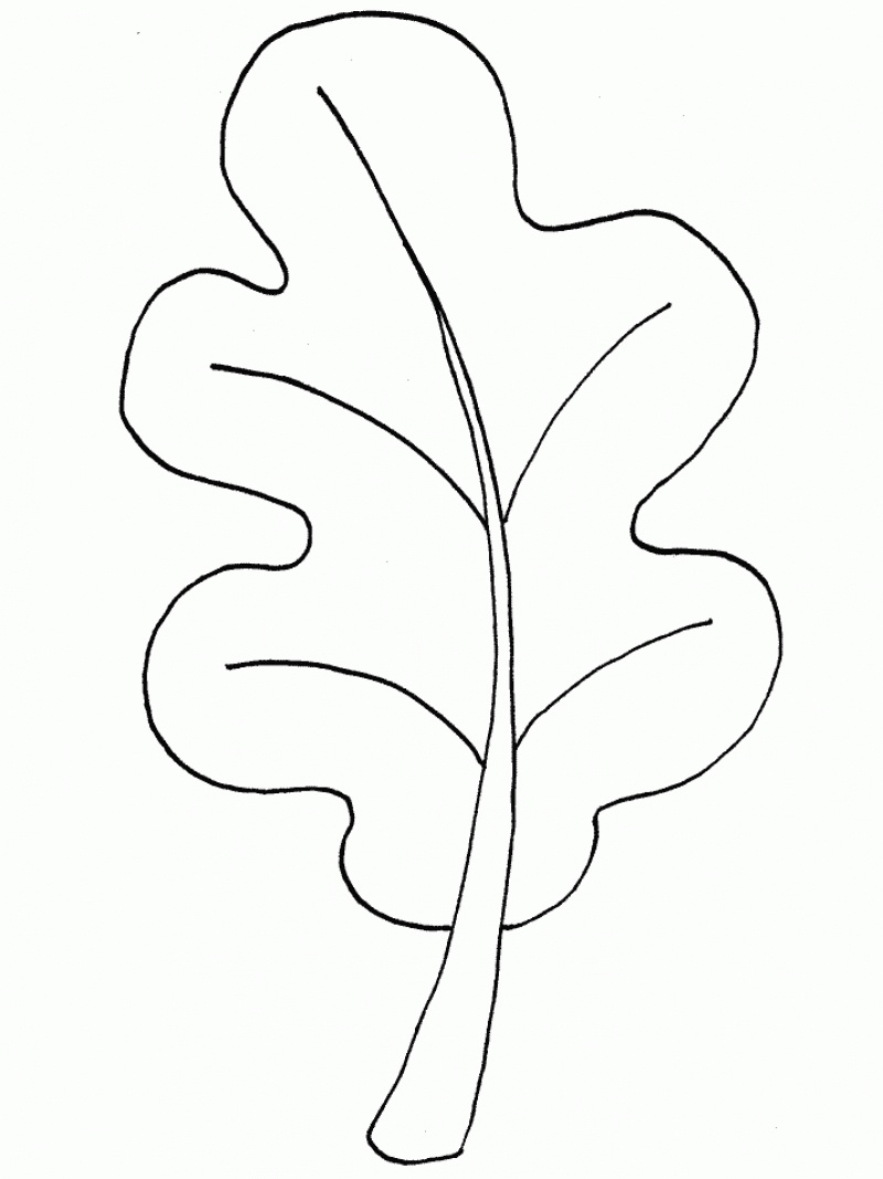 800x1067 Powerful Fall Foliage Coloring Pages Holiday Season Leaves