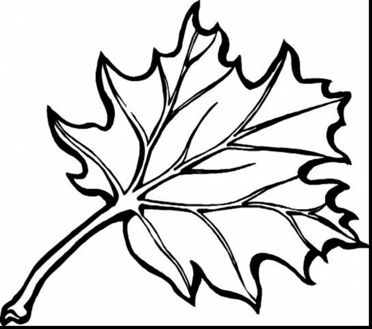 1188x1051 Stunning Fall Leaves And Cute Squirrel Coloring Pages For Kids Img