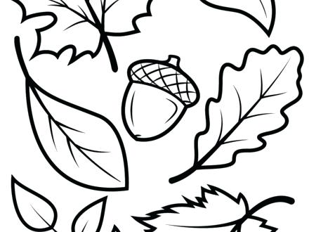 440x330 Autumn Leaves Coloring Pages Free Rosbif.co
