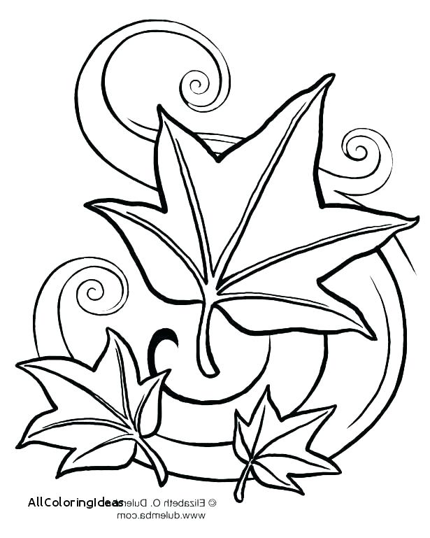 615x769 Fall Leaves Coloring Page Cliptext.co
